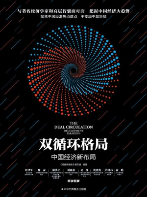 双循环格局：中国经济新