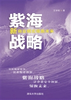 紫海战略