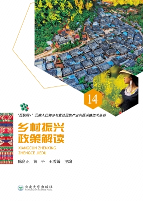乡村振兴政策解读