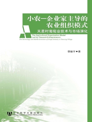 小农—企业家主导的农