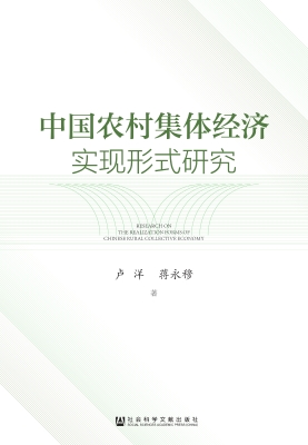 中国农村集体经济实现