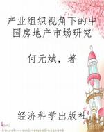 产业组织视角下的中国
