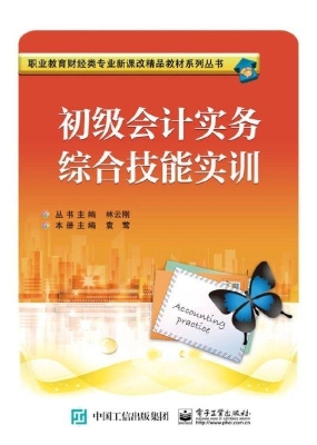 初级会计实务综合技能