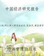 中国经济研究报告