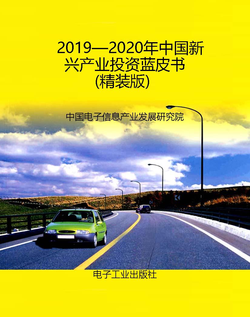2019—2020年中国新兴