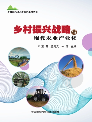 乡村振兴战略与现代农