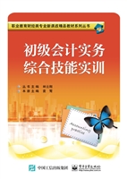 初级会计实务综合技能