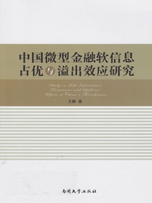 中国微型金融软信息占
