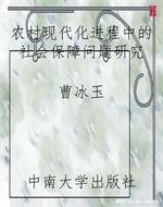 农村现代化进程中的社