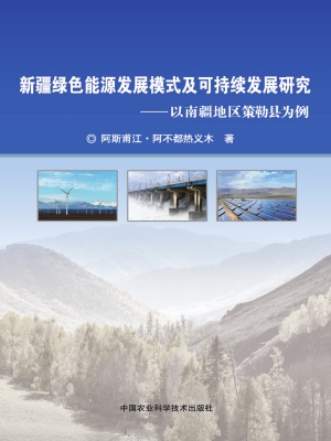 新疆绿色能源发展模式