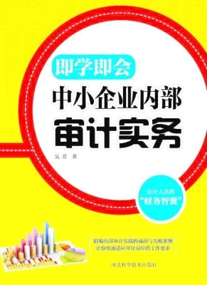 中小企业内部审计实务