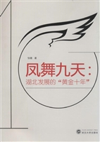凤舞九天：湖北发展的“