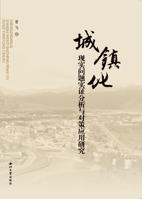 城镇化现实问题实证分
