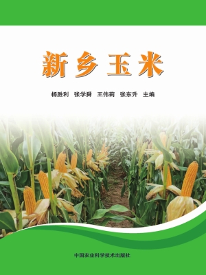 新乡玉米