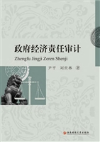 政府经济责任审计