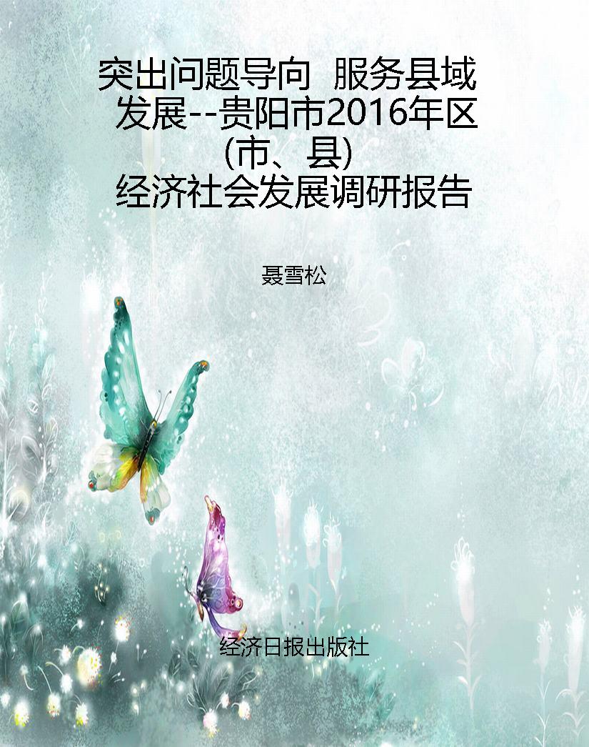 突出问题导向  服务县