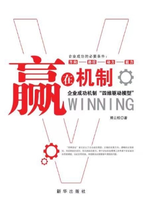 赢在机制：企业成功机制