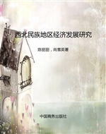 西北民族地区经济发展