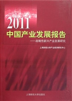 2011中国产业发展报告