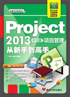 Project 2013中文版项