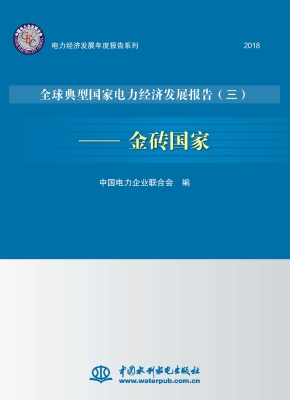 全球典型国家电力经济