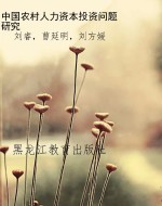 中国农村人力资本投资