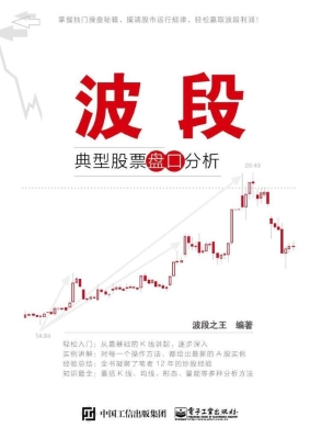 波段——典型股票盘口