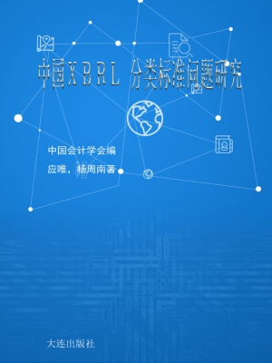 中国XBRL分类标准问题