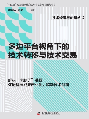 多边平台视角下的技术