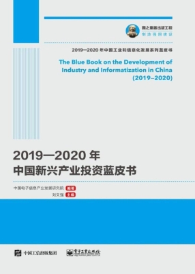 2019—2020年中国新兴