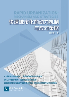 快速城市化的动力机制