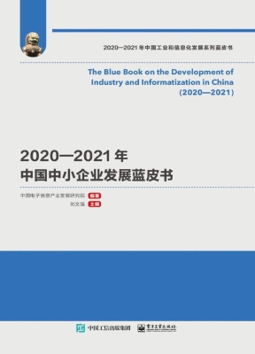 2020—2021年中国中小