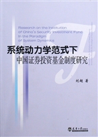 系统动力学范式下中国