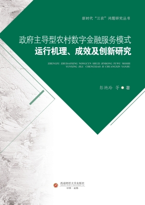 政府主导型农村数字金