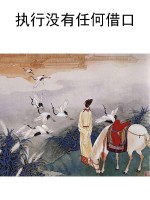 执行没有任何借口