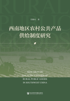 西南地区农村公共产品