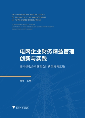 电网企业财务精益管理