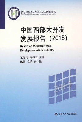 中国西部大开发发展报