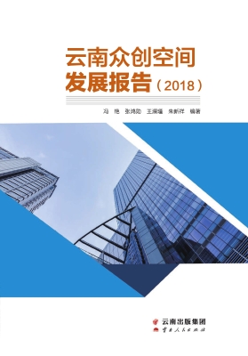 云南众创空间发展报告