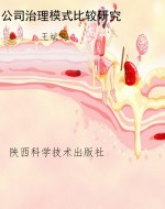 公司治理模式比较研究