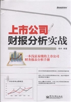 上市公司财报分析实战