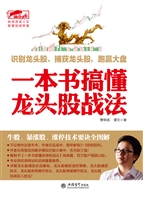 一本书搞懂龙头股战法