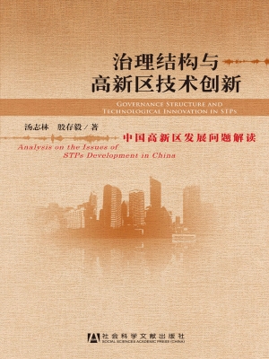 治理结构与高新区技术