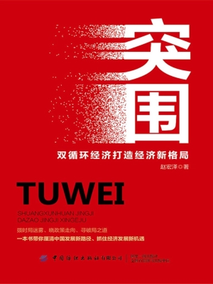 突围：双循环经济打造经