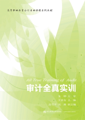 审计全真实训