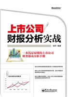 上市公司财报分析实战