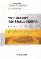 中国经济发展进程中农