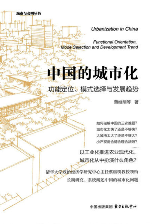 中国的城市化——功能