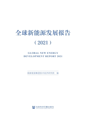 全球新能源发展报告（20