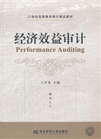 经济效益审计